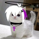 Telegram profile photo for Dusti хочет котик (ЩП)