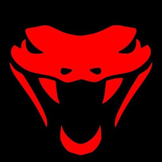 Telegram profile photo for SNAKE Security