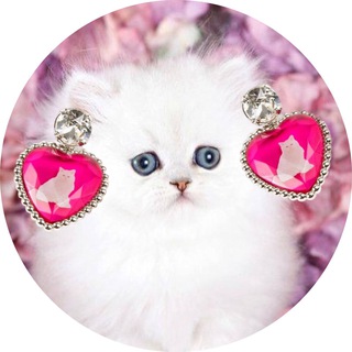 Telegram profile photo for Цацки твоей мамы💎