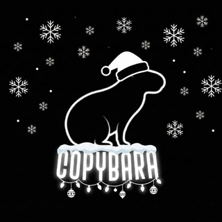 Telegram profile photo for CopyBara | Crypto