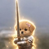 Telegram profile photo for SWORDDOG