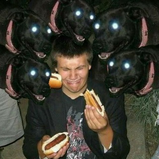 Telegram profile photo for дилижансик