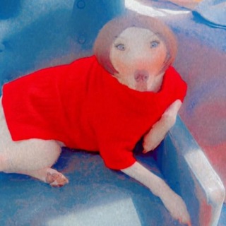 Telegram profile photo for Memes