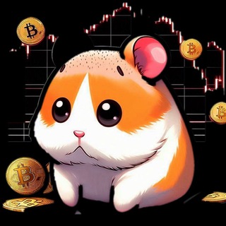 Telegram group profile photo for Stablecoins info