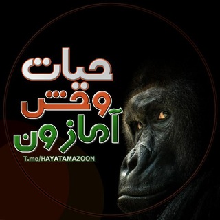Telegram profile photo for حیات وحش آمازون