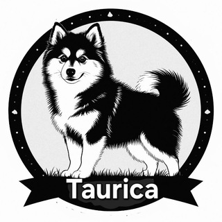 Telegram profile photo for Питомник МСС Хапика и Помски Taurica