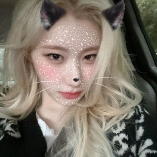 Telegram profile photo for Картонна Шин (🔒)