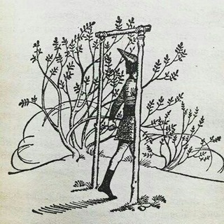 Telegram profile photo for Solitary Individual
