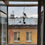 Telegram profile photo for Сумерки Сознания