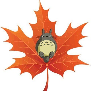 Telegram profile photo for 等枫再来