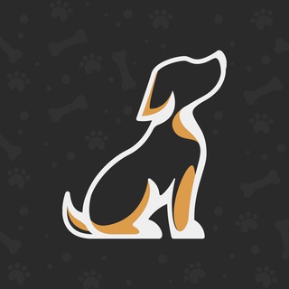 Telegram profile photo for БелоПёс приют