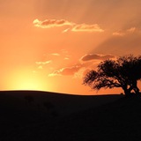 Telegram profile photo for دمك الطريق