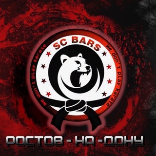 Telegram profile photo for Спортивный клуб «БАРС»