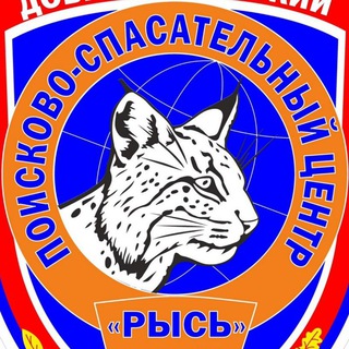 Telegram profile photo for ДПСЦ "РЫСЬ"