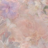 Telegram profile photo for ~ QWONNI PRICE 💸🌷