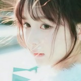Telegram profile photo for 灰灰的窝