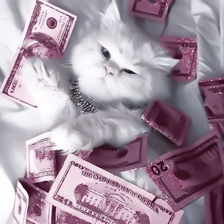 Telegram profile photo for ᴜɴɪʏxʟ || заработок на отзывах🎀