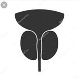 Telegram profile photo for Urethra