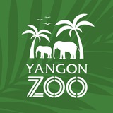 Telegram profile photo for Yangon Zoo
