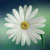 Telegram profile photo for Mohsenyousefzadeh