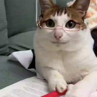 Telegram group profile photo for Learn RCRussian Chat