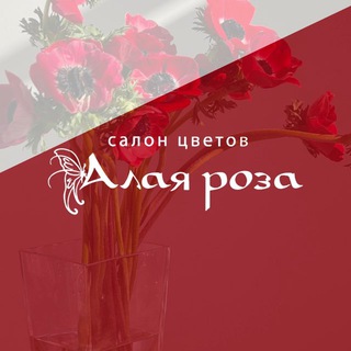 Telegram profile photo for ЦВЕТЫ❤️АЛАЯ РОЗА❤️ОМСК