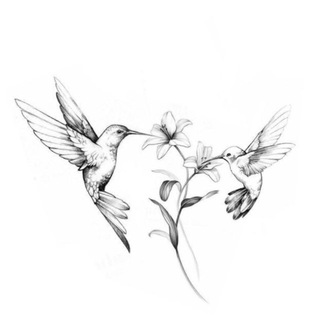 Telegram profile photo for Grey's Anatomy Music