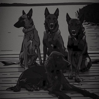 Telegram profile photo for THE DOG DRIVE