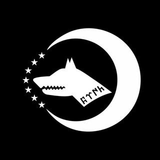 Telegram profile photo for ððð§ð¬ðð¬ð²ðšð§ðð¥ ðð®ð«ðð§ BirliÄi ððŒððÌðð ðœðÌðððÌððð