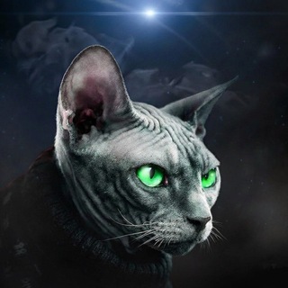 Telegram profile photo for Ваучеры + инфа Forgot VV
