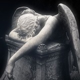 Telegram profile photo for АРХИВ dead? | 𝘊𝘩𝘦𝘯𝘨 𝘞𝘶'𝘴 𝘵𝘩𝘰𝘶𝘨𝘩𝘵𝘴