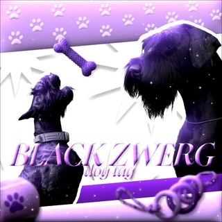 Telegram profile photo for «𝗕𝗹𝗮𝗰𝗸 𝗭𝘄𝗲𝗿𝗴»🐾