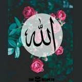 Telegram profile photo for Islamic thought