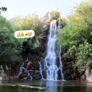 Telegram profile photo for ترنم باران