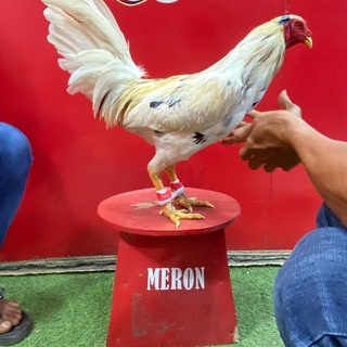Telegram profile photo for មេដំបន់ប្លែដែក