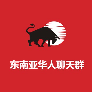 Telegram profile photo for 东南亚🇨🇳华人聊天群🅥