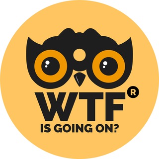 Telegram profile photo for WTF Media®
