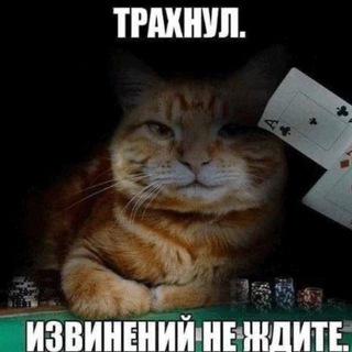 Telegram profile photo for Легенда цирка