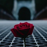 Telegram profile photo for أدعية وأذكار