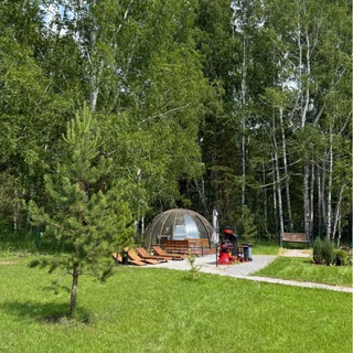 Telegram profile photo for Форест Хом (Forest Home)