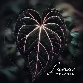 Telegram profile photo for LaPlants Store
