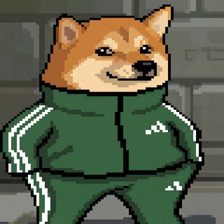 Telegram profile photo for ReRaze
