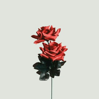 Telegram profile photo for لنَحيا🍂!