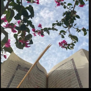 Telegram profile photo for ️“”️️ئــەسـتێـرە️️””️️