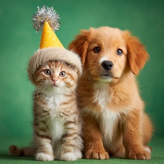 Telegram profile photo for Замурчательный Мир 🐶🐈