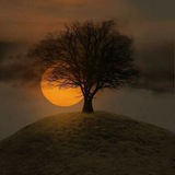 Telegram profile photo for سروده های مهدی سلیمانی آشتیانی