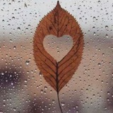 Telegram profile photo for ومَا الحُبّ إلا دُعاء 🌸 ..