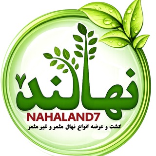 Telegram profile photo for نهالندnahaland7