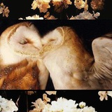 Telegram profile photo for ` Поддержка. - seguidlres estrella. 