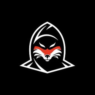 Telegram profile photo for Bgmi free turnament π